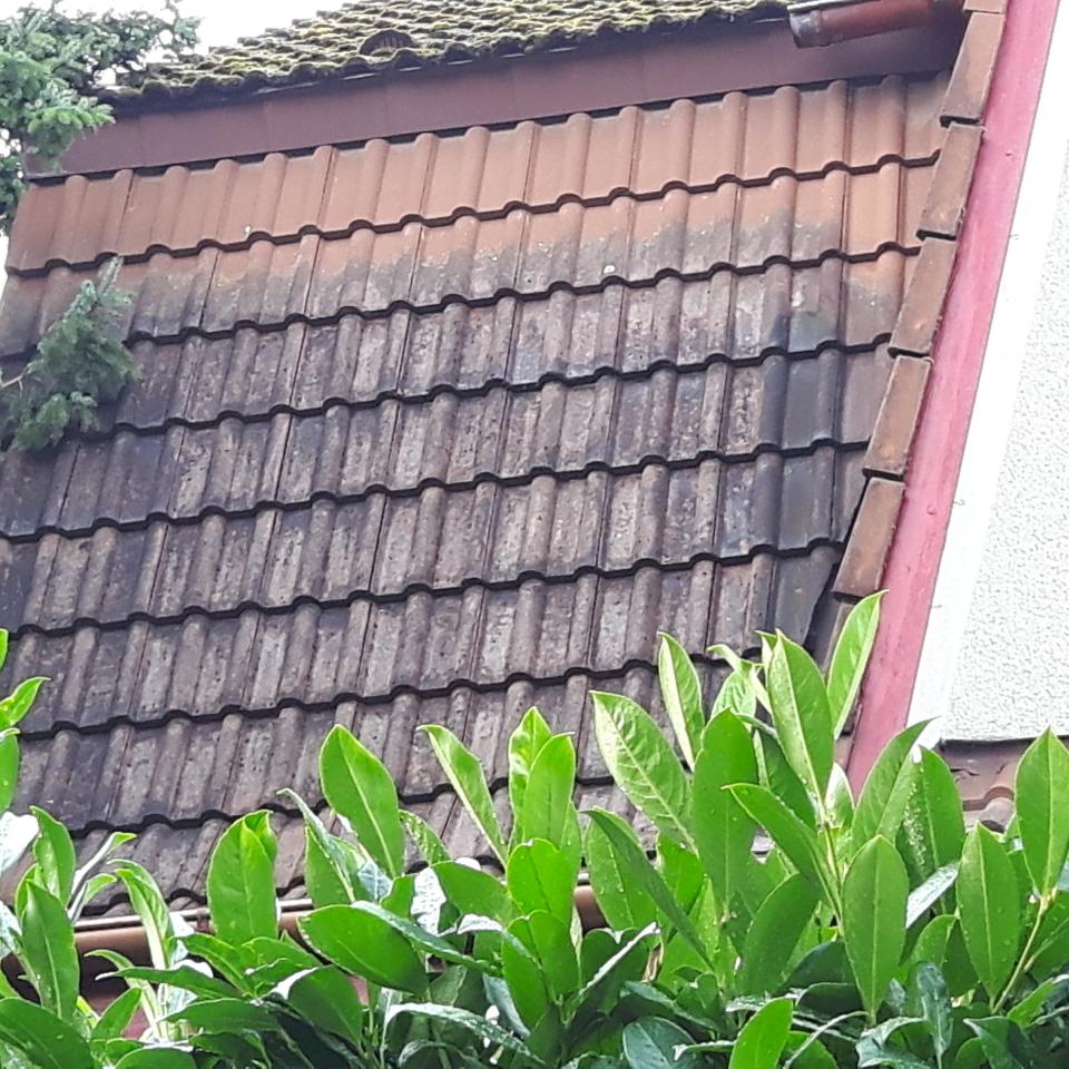 1d01d2272affd7a2d607665daabe96ea