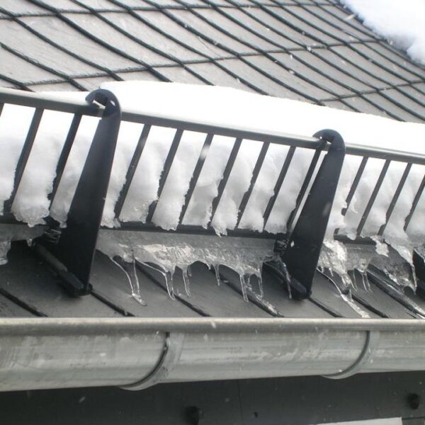 1d204e8baae82716816b12ee4dcdd91c 600x600