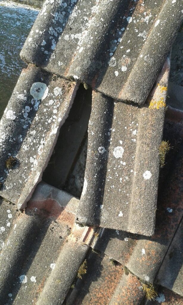 320e07af8426a359bf000ba22de8496c 614x1024