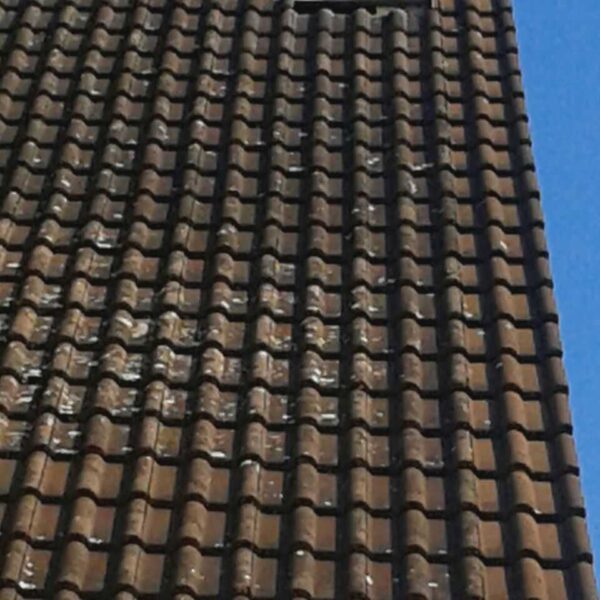 81889da3294f9162a42982dadfaed50e 600x600