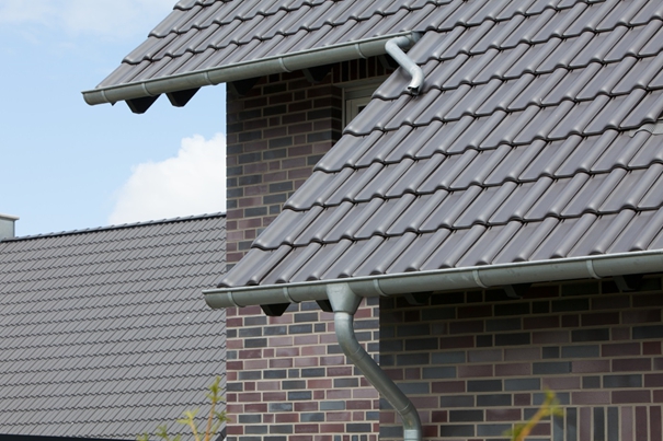 C943d8686dd003c549aca5e49fb76b01